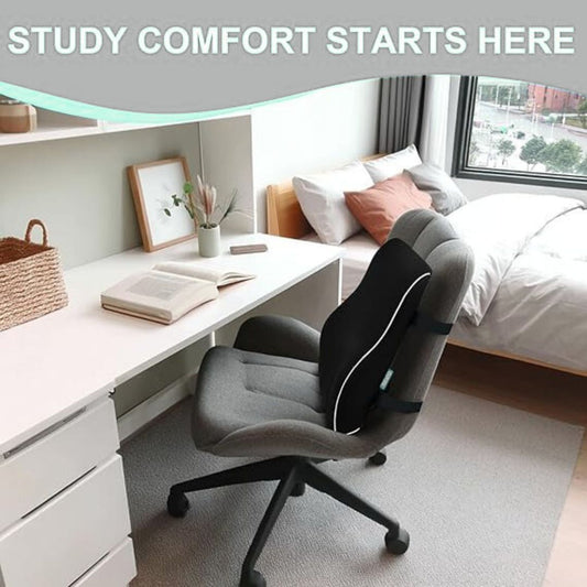 Support Pillow for Office Chair