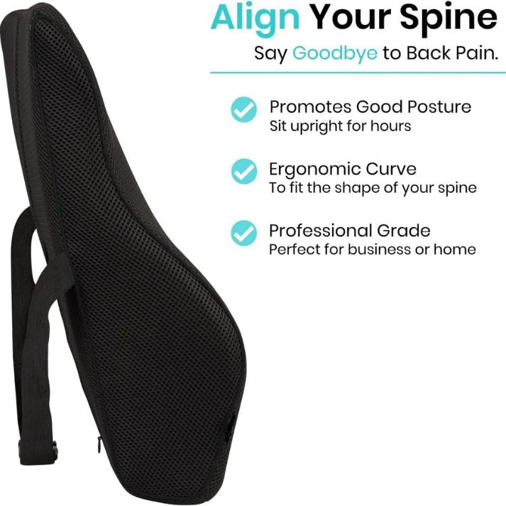 Back Rest Pillow
